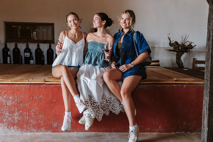 Explore a região vinícola de Madrid com visitas guiadas a quintas locais, provas de vinho e comida regional, foto 47 | wizardtrip
