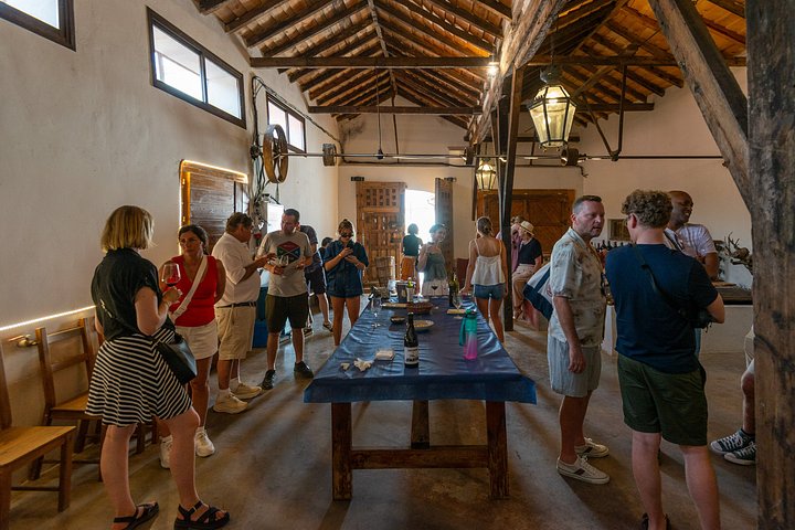 Explore a região vinícola de Madrid com visitas guiadas a quintas locais, provas de vinho e comida regional, foto 49 | wizardtrip