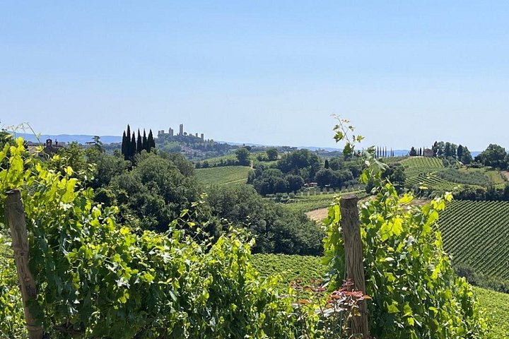 High-speed train journey from Rome to Florence, exploring Tuscan vineyards and San Gimignano's medieval towers, photo 6 | wizardtrip