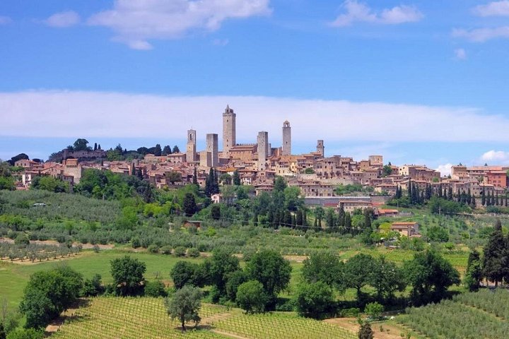 High-speed train journey from Rome to Florence, exploring Tuscan vineyards and San Gimignano's medieval towers, photo 19 | wizardtrip