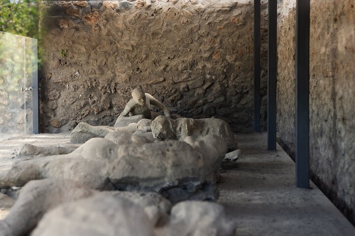 Guided tour of Pompeii ruins with wine tasting and lunch, traveling by high-speed train from Rome, photo 10 | wizardtrip