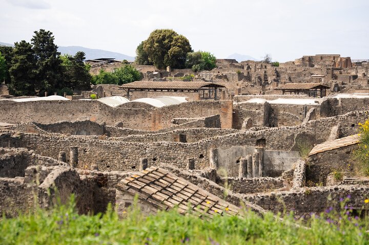 Guided tour of Pompeii ruins with wine tasting and lunch, traveling by high-speed train from Rome, photo 12 | wizardtrip