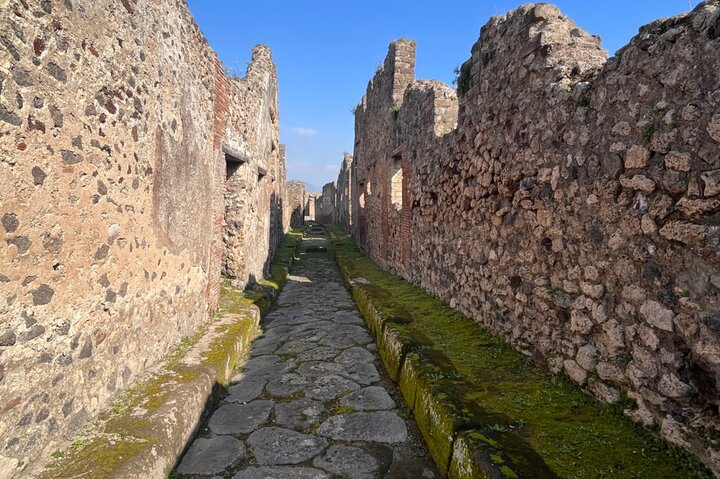 Guided tour of Pompeii ruins with wine tasting and lunch, traveling by high-speed train from Rome, photo 13 | wizardtrip
