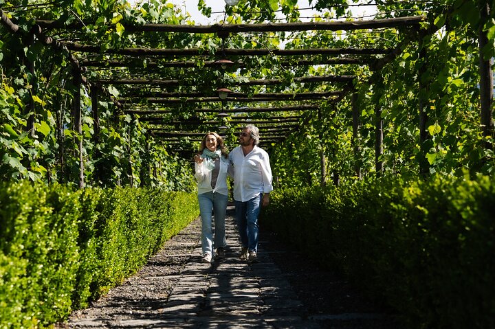Guided tour of Pompeii ruins with wine tasting and lunch, traveling by high-speed train from Rome, photo 20 | wizardtrip