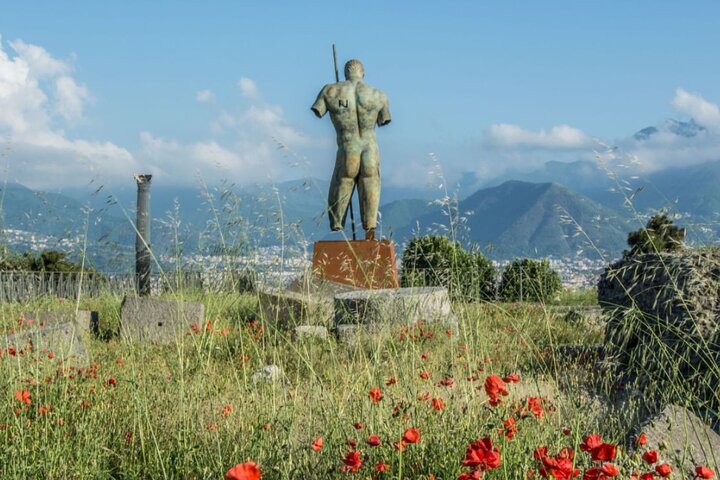 Guided tour of Pompeii ruins with wine tasting and lunch, traveling by high-speed train from Rome, photo 21 | wizardtrip