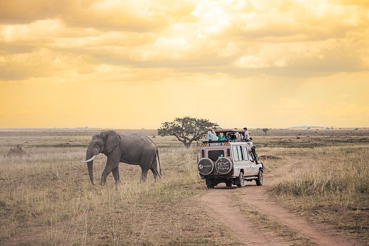 Tanzanie Classique - 7 Jours | wizardtrip