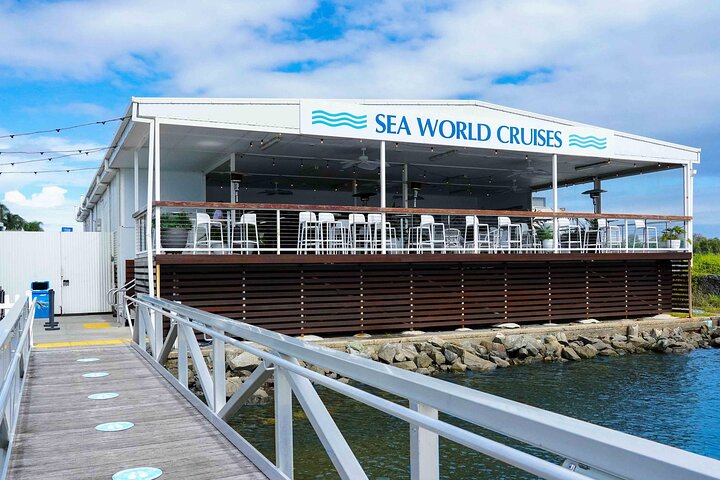 Opplev spennende hvalsafari-turer på Gold Coast med Sea World Cruises, med nære møter med knølhvaler, foto 8 | wizardtrip