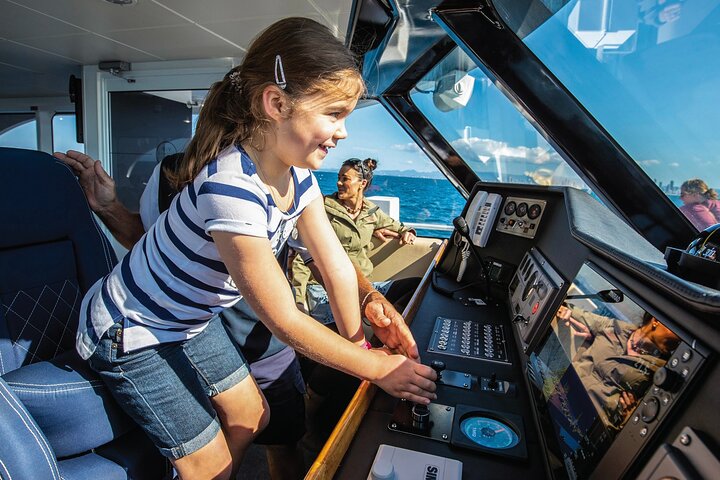Opplev spennende hvalsafari-turer på Gold Coast med Sea World Cruises, med nære møter med knølhvaler, foto 11 | wizardtrip