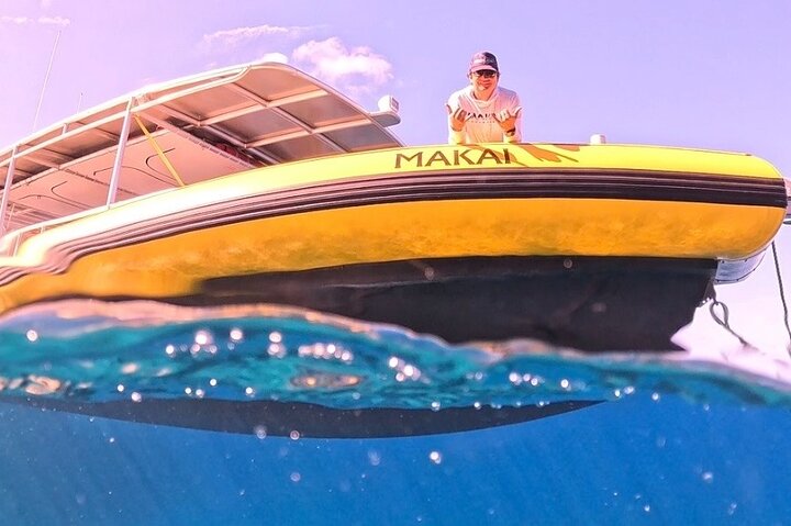 Upplev spännande valskådningsturer på Maui ombord på en snabb och bekväm båt med Makai Adventures, foto 6 | wizardtrip