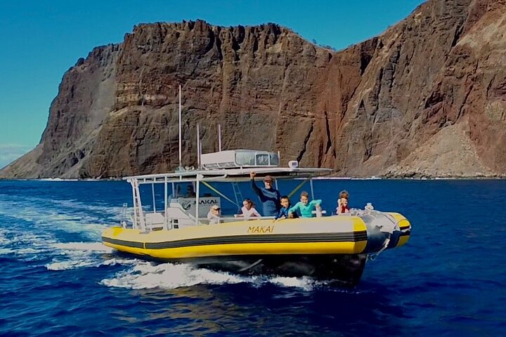 Upplev spännande valskådningsturer på Maui ombord på en snabb och bekväm båt med Makai Adventures, foto 10 | wizardtrip