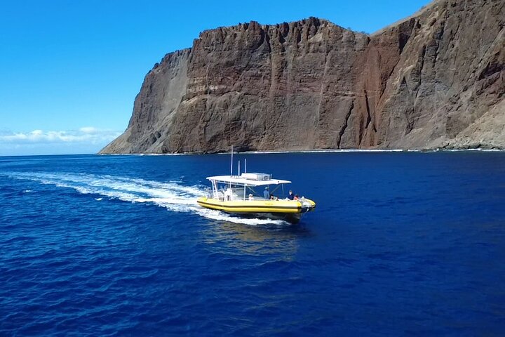 Upplev spännande valskådningsturer på Maui ombord på en snabb och bekväm båt med Makai Adventures, foto 12 | wizardtrip