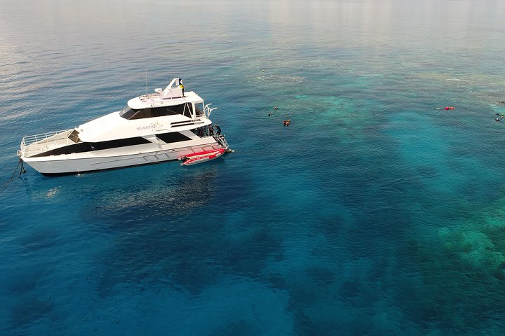 Luxus-Bootstour zur Great Barrier Reef von Cairns, Australien, Foto 7 | wizardtrip