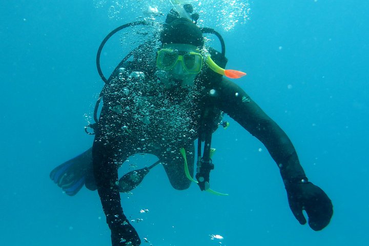 Luxus-Bootstour zur Great Barrier Reef von Cairns, Australien, Foto 8 | wizardtrip