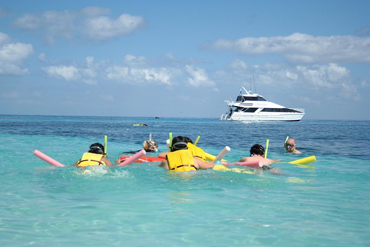 Luxus-Bootstour zur Great Barrier Reef von Cairns, Australien, Foto 9 | wizardtrip