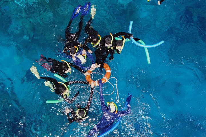 Luxus-Bootstour zur Great Barrier Reef von Cairns, Australien, Foto 10 | wizardtrip