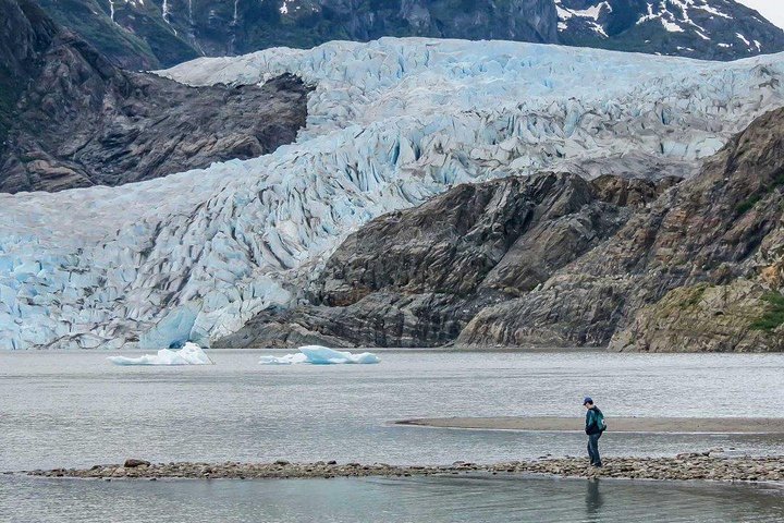 Mendenhall Glacier Park og Hvalsafari Combo | wizardtrip