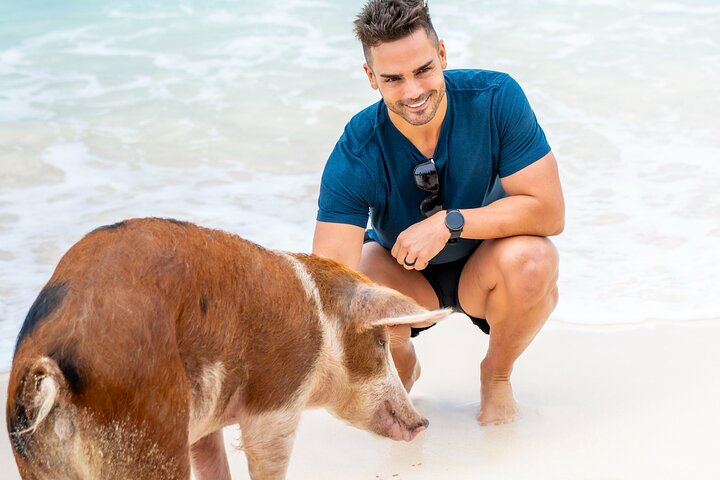 Full-day excursion to Rose Island, Bahamas, featuring swimming pigs, beaches, and boat trips, photo 7 | wizardtrip