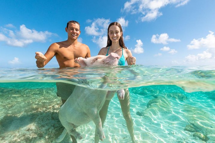 Full-day excursion to Rose Island, Bahamas, featuring swimming pigs, beaches, and boat trips, photo 8 | wizardtrip