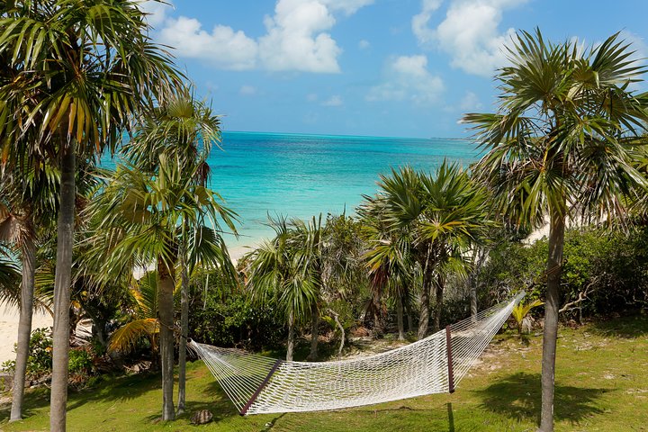 Full-day excursion to Rose Island, Bahamas, featuring swimming pigs, beaches, and boat trips, photo 9 | wizardtrip