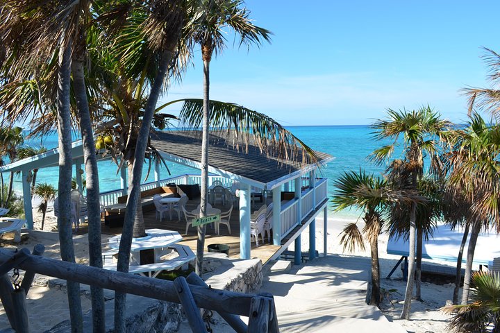 Full-day excursion to Rose Island, Bahamas, featuring swimming pigs, beaches, and boat trips, photo 12 | wizardtrip