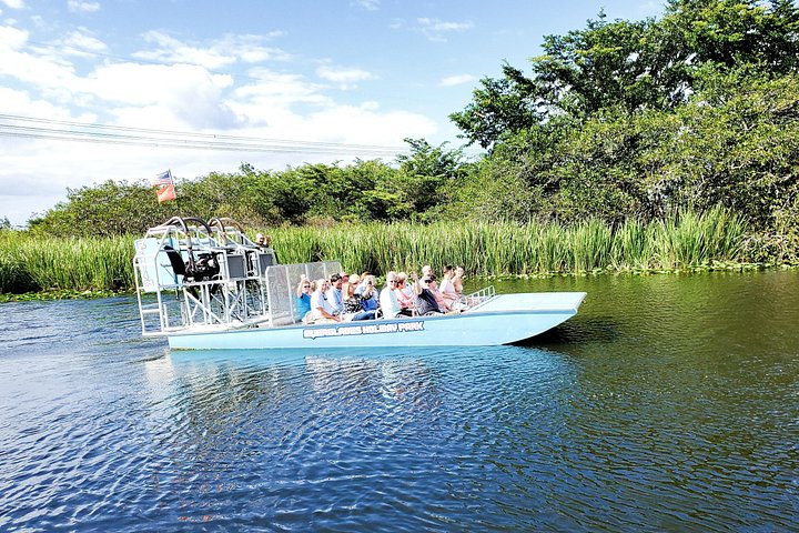 Erleben Sie eine aufregende Airboat-Fahrt durch die Everglades von Fort Lauderdale, Foto 7 | wizardtrip
