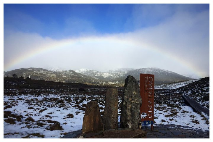 Cradle Mountain Day Tour from Launceston | wizardtrip
