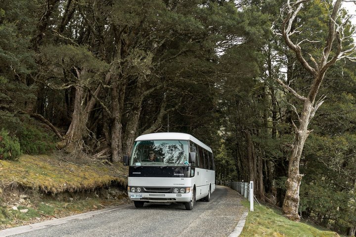 Guidad heldagstur till Cradle Mountain National Park från Launceston, Tasmanien, Australien, foto 8 | wizardtrip