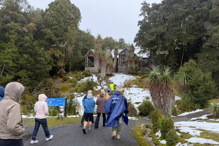 Guidad heldagstur till Cradle Mountain National Park från Launceston, Tasmanien, Australien, foto 9 | wizardtrip