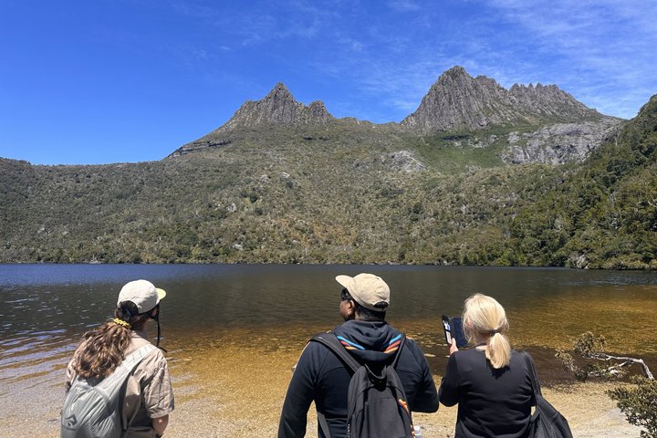 Guidad heldagstur till Cradle Mountain National Park från Launceston, Tasmanien, Australien, foto 11 | wizardtrip