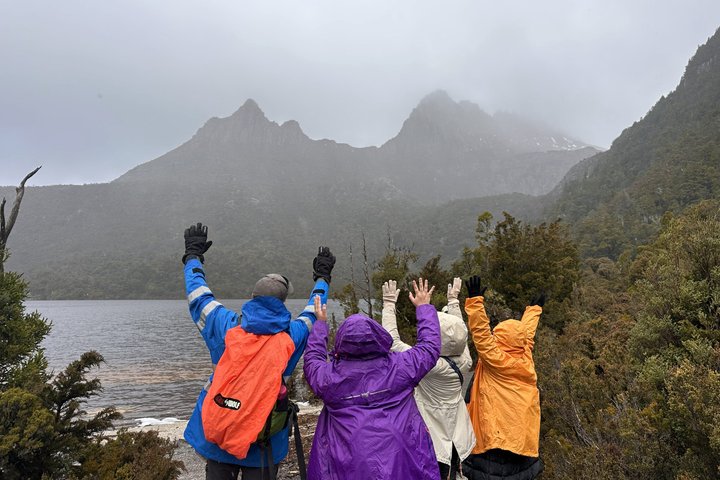Guidad heldagstur till Cradle Mountain National Park från Launceston, Tasmanien, Australien, foto 12 | wizardtrip