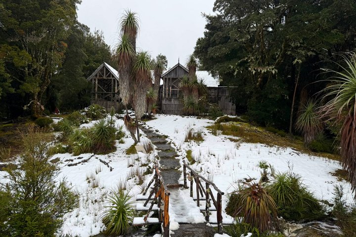 Guidad heldagstur till Cradle Mountain National Park från Launceston, Tasmanien, Australien, foto 14 | wizardtrip