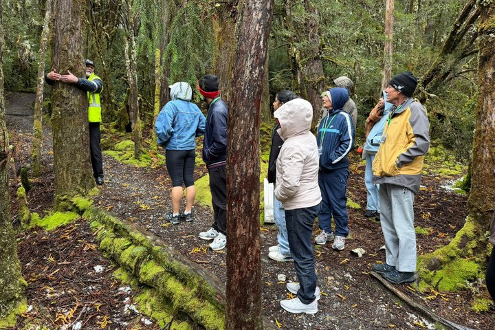 Guidad heldagstur till Cradle Mountain National Park från Launceston, Tasmanien, Australien, foto 15 | wizardtrip