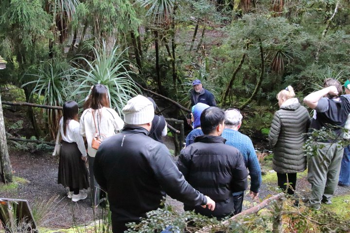 Guidad heldagstur till Cradle Mountain National Park från Launceston, Tasmanien, Australien, foto 18 | wizardtrip