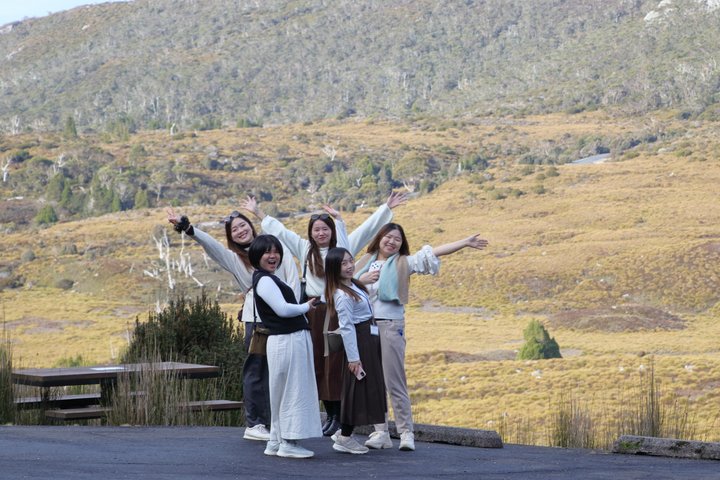 Guidad heldagstur till Cradle Mountain National Park från Launceston, Tasmanien, Australien, foto 19 | wizardtrip