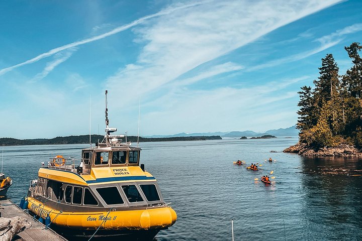 Vancouver Island Walbeobachtung Halbtagestour - Telegraph Cove | wizardtrip