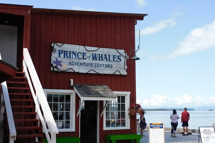 Walbeobachtungstour auf Vancouver Island, Kanada, mit Sichtungen von Meerestieren, Foto 9 | wizardtrip