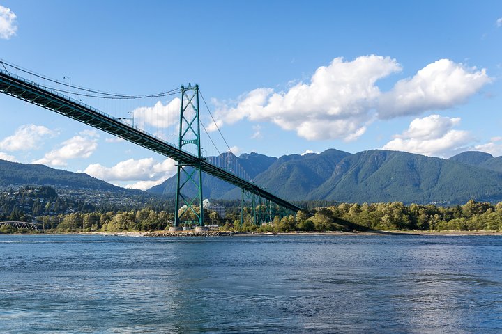 Découvrez la faune marine époustouflante de Vancouver lors d'une excursion d'observation des baleines d'une demi-journée à bord d'un catamaran de luxe, photo 7 | wizardtrip