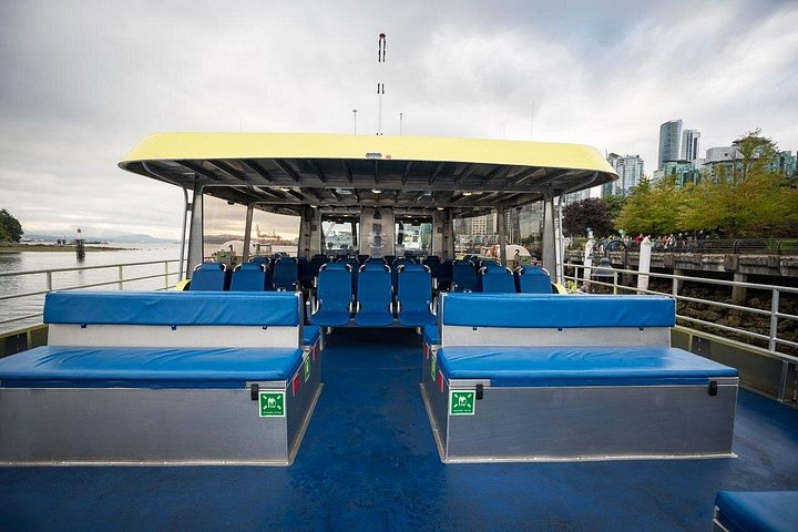 Découvrez la faune marine époustouflante de Vancouver lors d'une excursion d'observation des baleines d'une demi-journée à bord d'un catamaran de luxe, photo 18 | wizardtrip