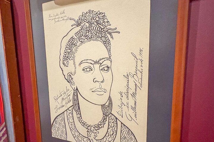 Entdecken Sie die lebendige Kultur Mexiko-Stadts: Frida Kahlos Kunst, die Kanäle von Xochimilco und das historische Coyoacán, Foto 12 | wizardtrip