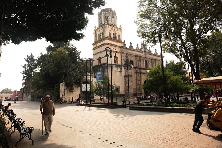Entdecken Sie die lebendige Kultur Mexiko-Stadts: Frida Kahlos Kunst, die Kanäle von Xochimilco und das historische Coyoacán, Foto 19 | wizardtrip
