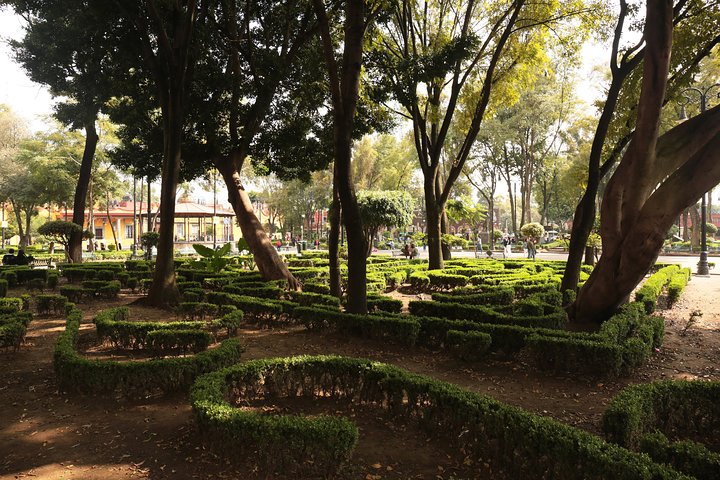 Entdecken Sie die lebendige Kultur Mexiko-Stadts: Frida Kahlos Kunst, die Kanäle von Xochimilco und das historische Coyoacán, Foto 23 | wizardtrip