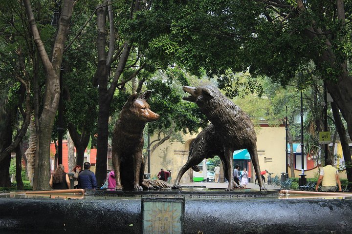 Entdecken Sie die lebendige Kultur Mexiko-Stadts: Frida Kahlos Kunst, die Kanäle von Xochimilco und das historische Coyoacán, Foto 32 | wizardtrip