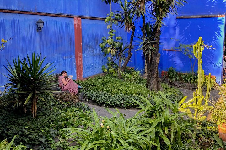 Entdecken Sie die lebendige Kultur Mexiko-Stadts: Frida Kahlos Kunst, die Kanäle von Xochimilco und das historische Coyoacán, Foto 43 | wizardtrip