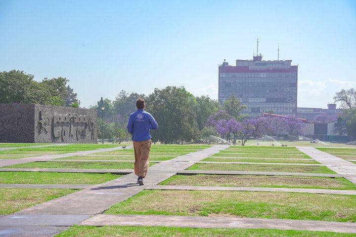 Entdecken Sie die lebendige Kultur Mexiko-Stadts: Frida Kahlos Kunst, die Kanäle von Xochimilco und das historische Coyoacán, Foto 65 | wizardtrip