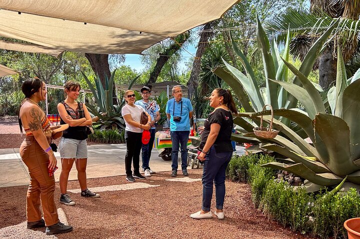 メキシコシティ発のガイド付き日帰りツアーで、メキシコの古代の驚異と文化的な名所を巡りましょう、写真11 | wizardtrip
