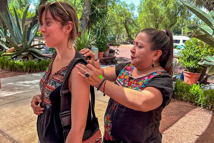 メキシコシティ発のガイド付き日帰りツアーで、メキシコの古代の驚異と文化的な名所を巡りましょう、写真13 | wizardtrip