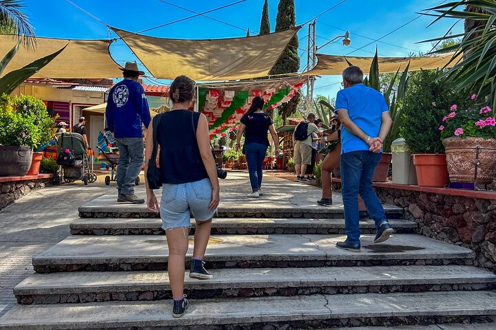 メキシコシティ発のガイド付き日帰りツアーで、メキシコの古代の驚異と文化的な名所を巡りましょう、写真26 | wizardtrip