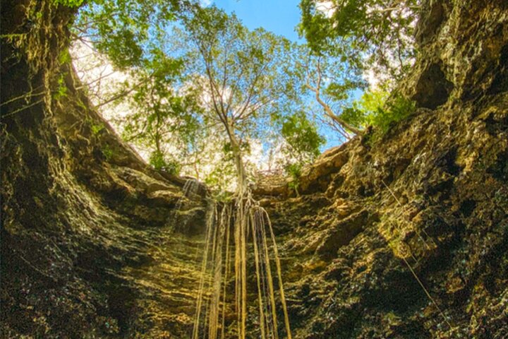 Utforska Chichen Itza, en cenote och Valladolid på en heldagstur från Cancun, foto 10 | wizardtrip