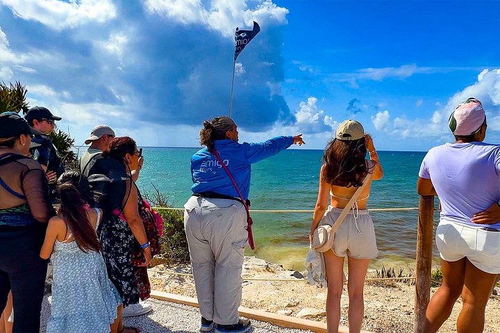 Udforsk mayanske ruiner, svøm i en cenote, og nyd smagsprøver på et Yucatan-eventyr, foto 12 | wizardtrip