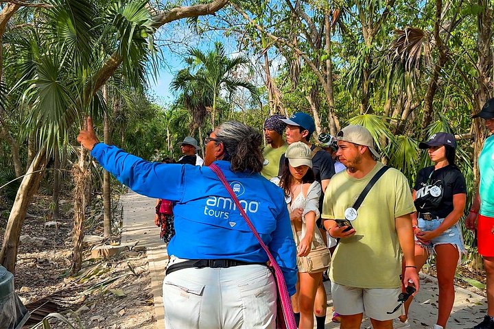 Udforsk mayanske ruiner, svøm i en cenote, og nyd smagsprøver på et Yucatan-eventyr, foto 23 | wizardtrip
